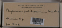 Image Associated With the Occurence